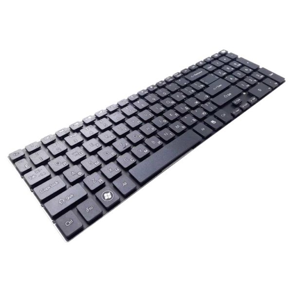 Клавиатура для ноутбука Packard Bell Easynote TS11, TV11, LS11, LV11, TS13, LS13, TS44, TS45, TSX62, TX69, TE69BM, TE69CX, TE69HW, F4211, P5WS0, P7YS0 Black Черная (V121702FS1)